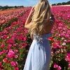 amandarose03